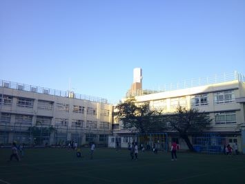 児童が校庭で運動をしている様子