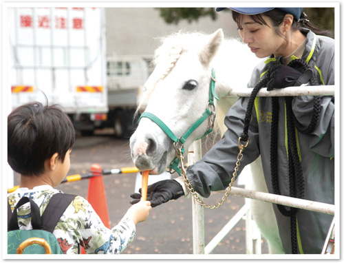 ポニーふれあいコーナーの様子