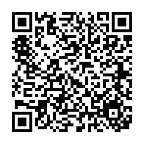 QRコード(実行委員のInstagram)