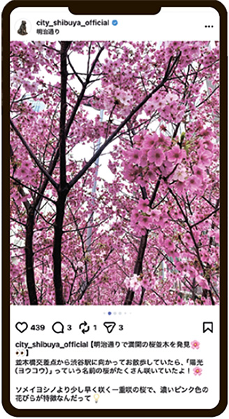 区内の風景のInstagram投稿イメージ