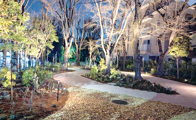 大山緑道（五條橋～六條橋）写真