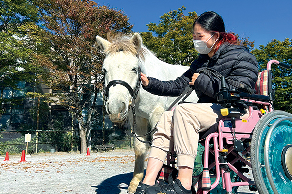 ポニーに触れる車いすユーザー