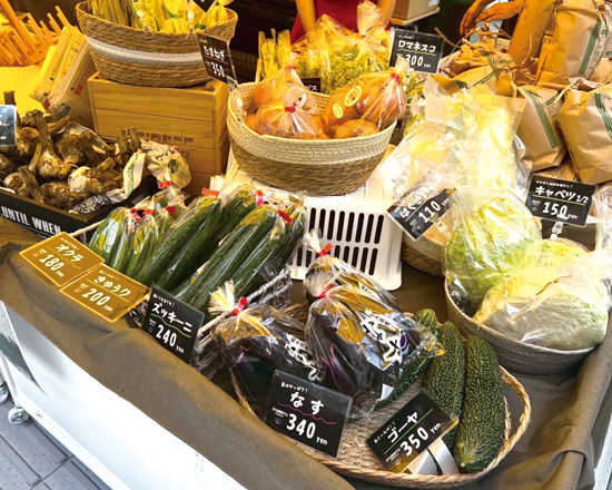 交流都市マルシェ 野菜写真