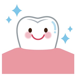 清潔な歯のイメージイラスト