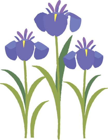 足湯イベント しょうぶ湯 薬草イラスト