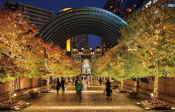 ライトアップされた坂道のプロムナードの風景