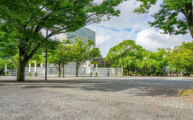 広い敷地面積を持つ代々木公園の写真