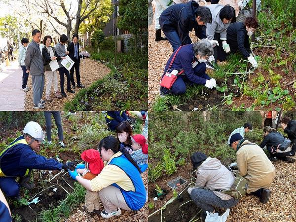画像：大山緑道で区民の皆さんが草花を植え付ける様子