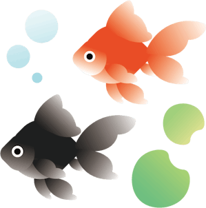 赤色と黒色の金魚のイラスト