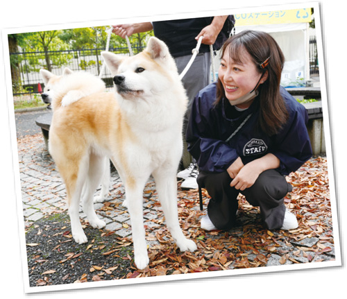 秋田犬ふれあいコーナーの様子