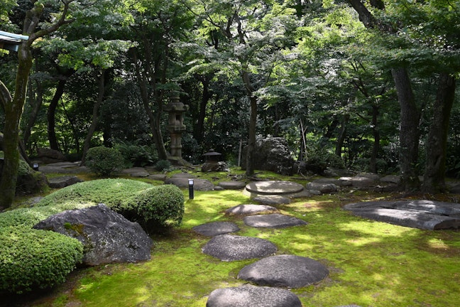 旧朝倉家住宅新緑の庭園