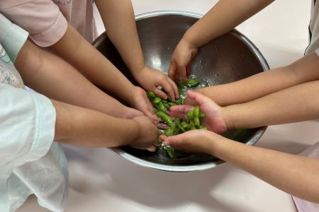 園での一コマ(野菜の収穫)