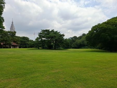 代々木保育園の散歩先の代々木公園