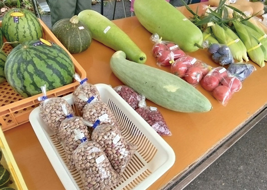 蓼科野菜マルシェ 写真