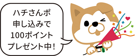 「ハチさんポ申し込みで100ポイントプレゼント中!」