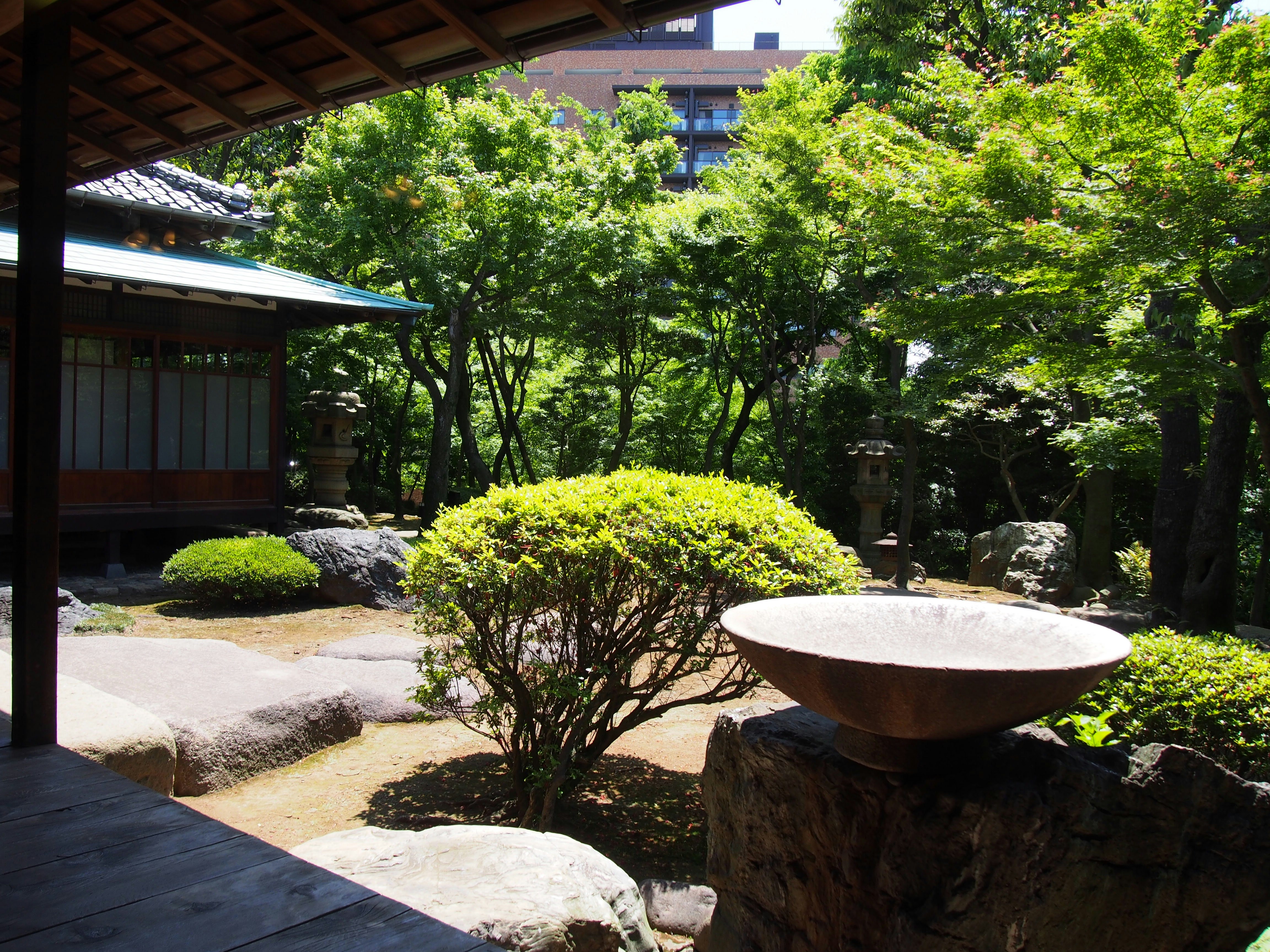 朝倉家住宅春の様子