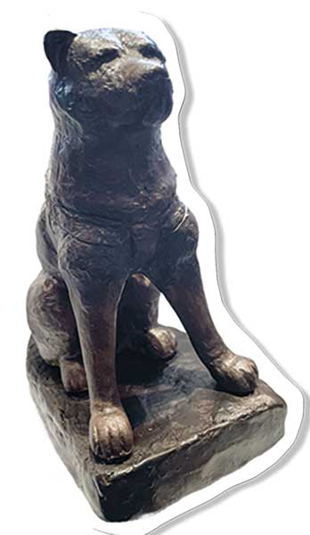 ハチ公像銅像写真