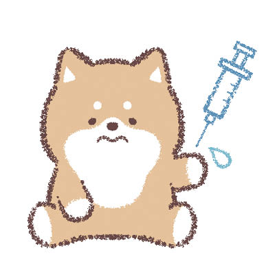 子犬の予防注射画像