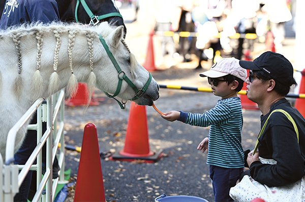 白いポニーにエサやりをしている子どもの様子