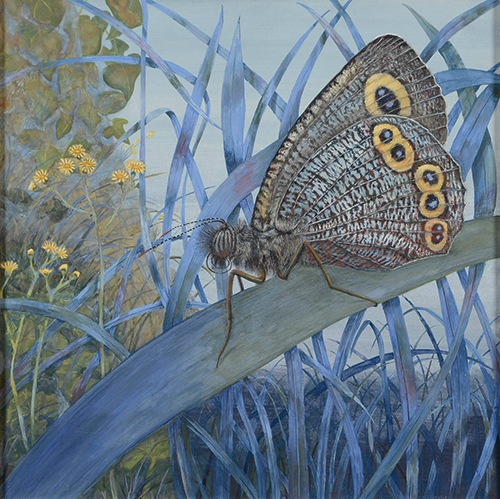 小川富美夫さんの受賞作品