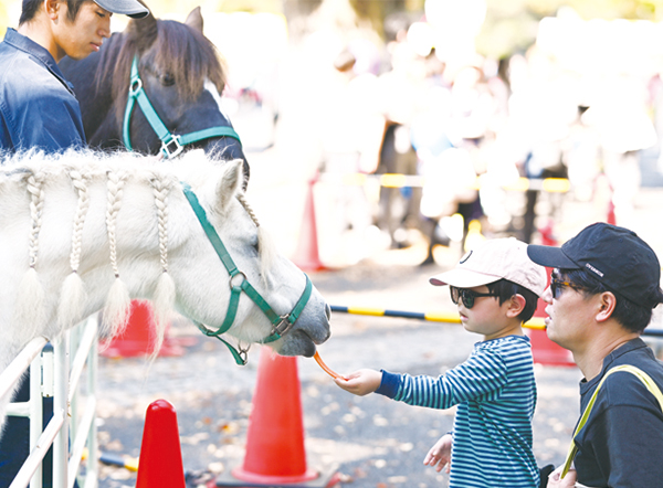 ポニーに手渡しでエサをあげる参加者