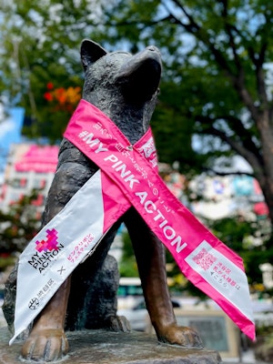 ピンクリボンと着用した渋谷駅前忠犬ハチ公の写真