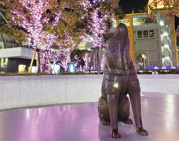 ライトアップされた木々とパブリックアートの「渋谷の方位磁石|ハチの宇宙」