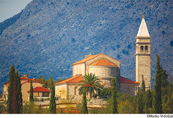 展示作品の写真