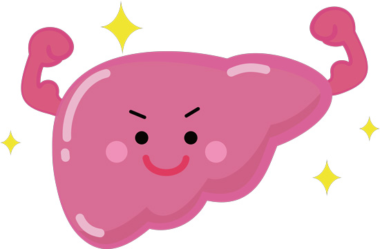 肝臓 キャラクターイラスト