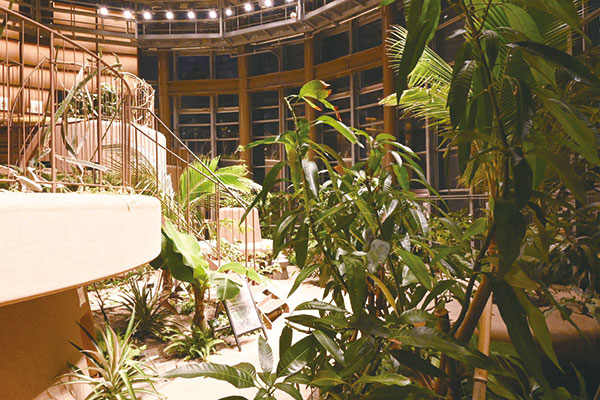 ふれあい植物センター写真