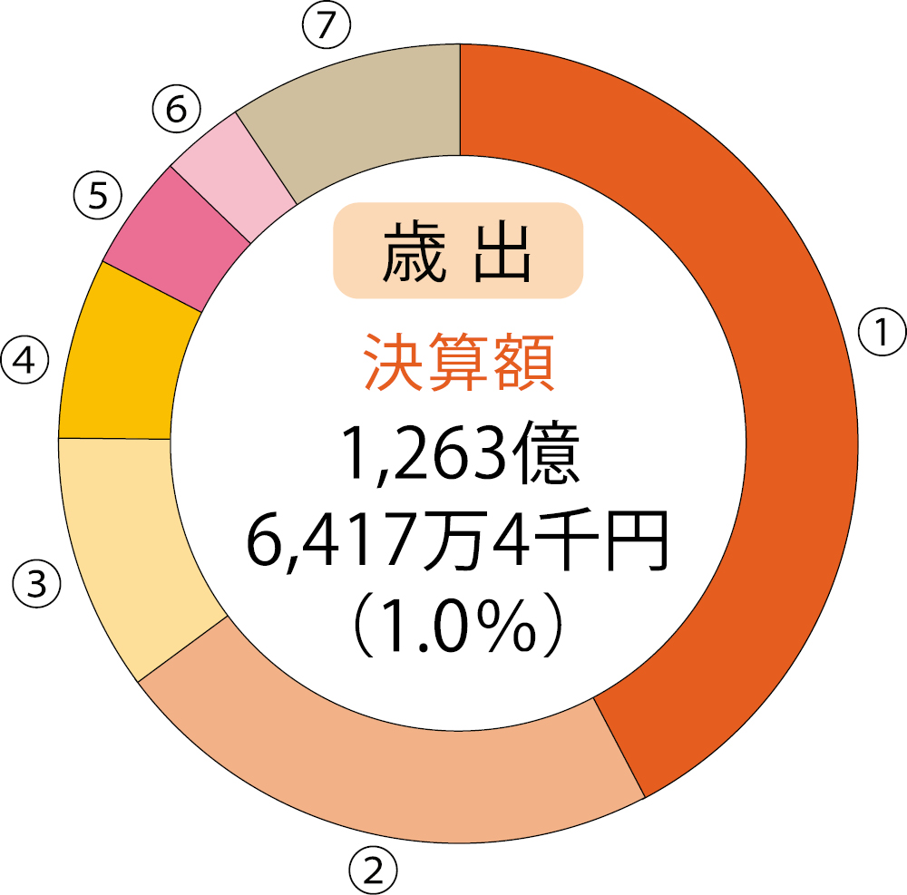 歳出の決算額と内訳のグラフ