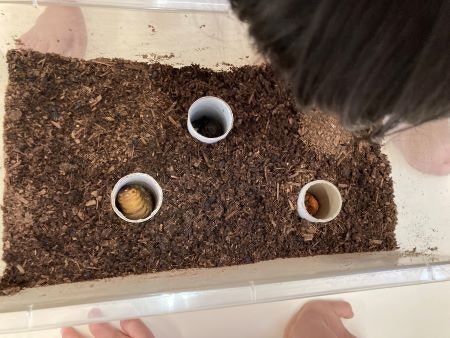 広尾保育園園児が自然に触れ合う様子