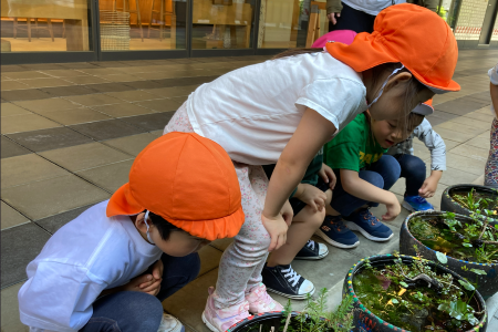 近隣へのお散歩の様子