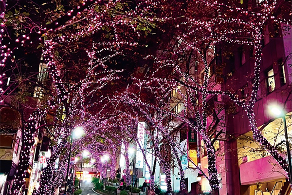 ソメイヨシノの並木がピンク色にライトアップされた様子