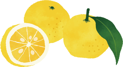 ゆずのイラスト