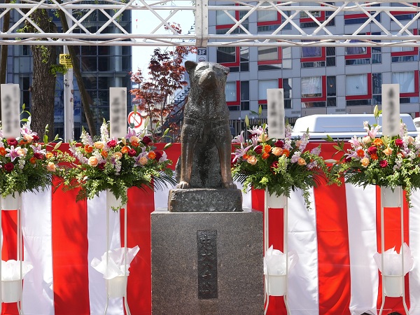 第91回忠犬ハチ公慰霊祭が開催されました。 の様子の写真
