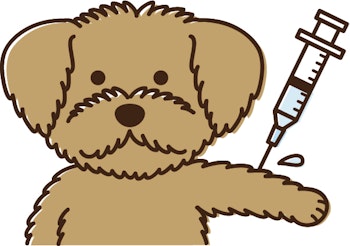予防注射を受ける犬のイメージイラスト