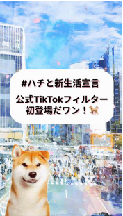 画像：TikTokフィルター「Shibuya Hachi」のポスターチラシ
