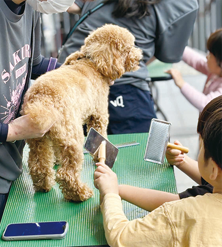 犬のブラッシングを体験する子どもたち