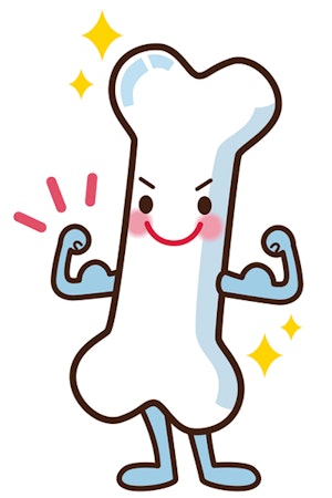 健康な骨のイメージイラスト