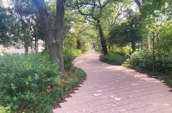 玉川上水旧水路緑道