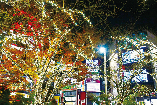 ライトアップされた並木道と渋谷の街並みの景色