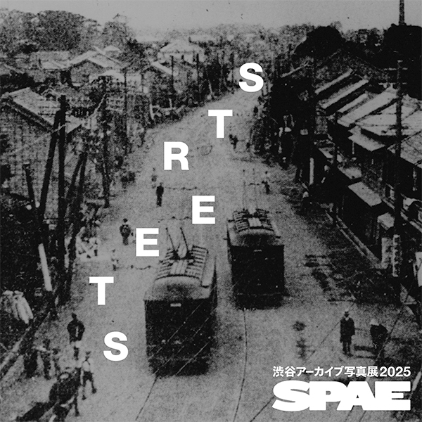 展示作品の写真