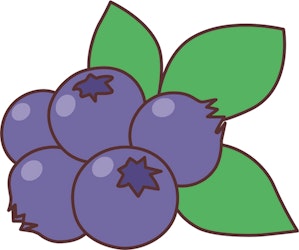 ブルーベリーのイラスト
